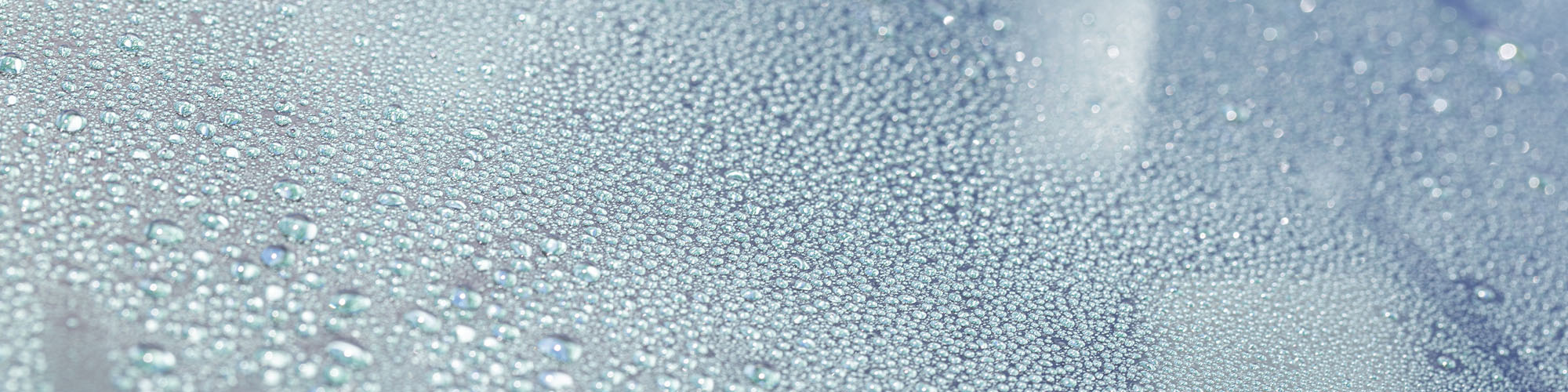 Surface Sealants