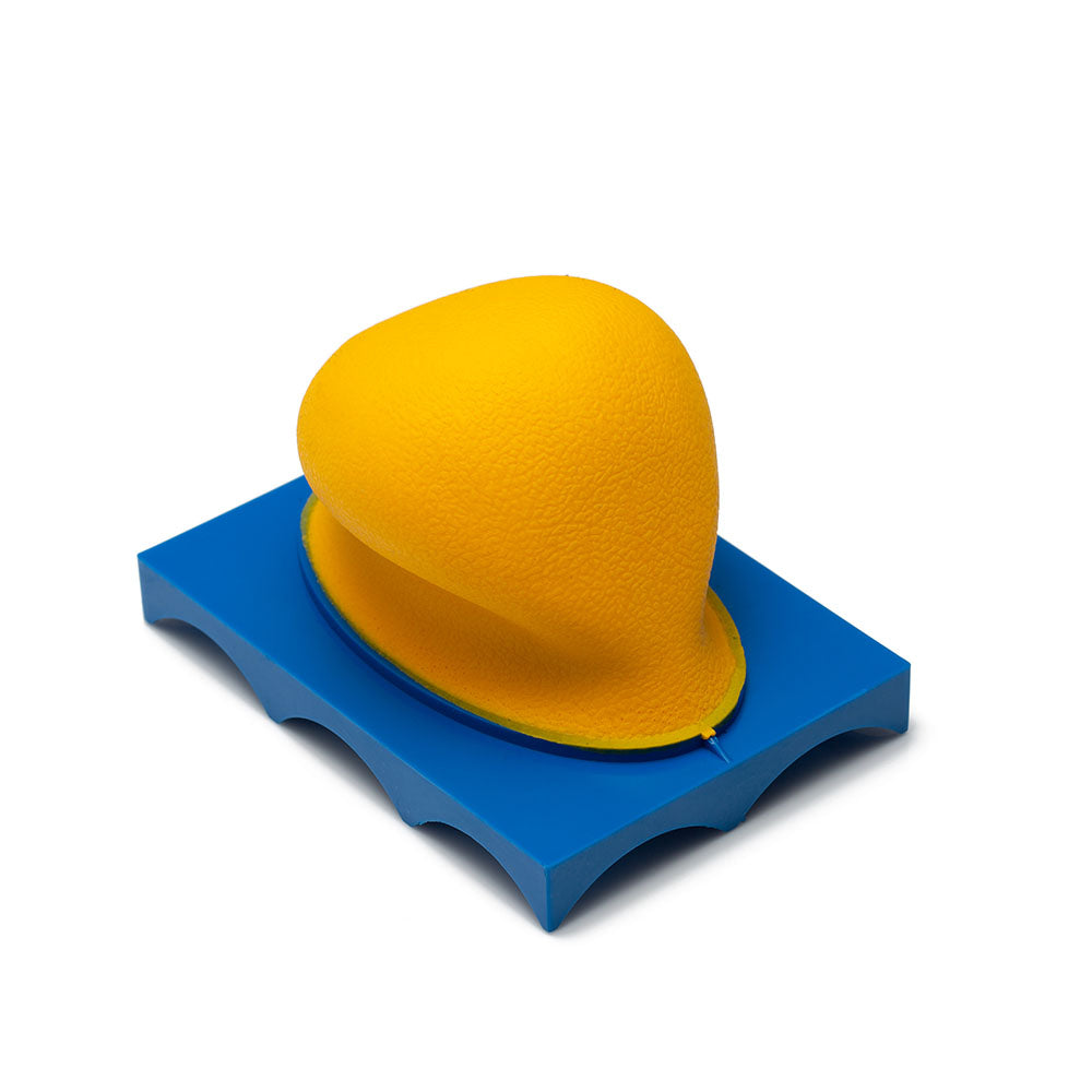 Hand-held Abrasive Sponge Holder